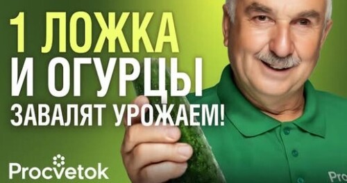 ОГУРЦЫ ВМИГ ПОЙДУТ В РОСТ И ПОКРОЮТСЯ ЗАВЯЗЯМИ, если подкормить их так!