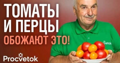 САМАЯ ПОЛНАЯ СХЕМА ПОДКОРМОК ТОМАТОВ И ПЕРЦЕВ для большого урожая вкусных плодов!