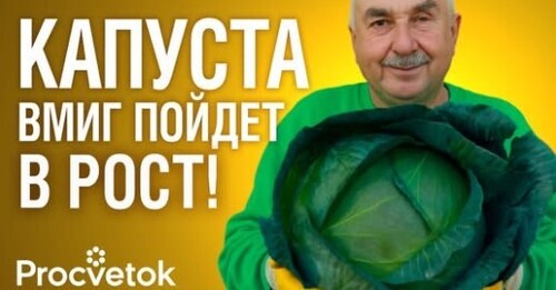 КОВАРНАЯ ОШИБКА ПРИ ВЫРАЩИВАНИИ КАПУСТЫ, из-за которой вы теряете урожай!