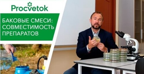 Можно ли смешивать разные средства защиты? Эпин, фитоспорин, триходермин, йод