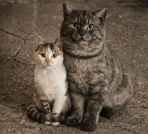 Уйти, чтобы вернуться