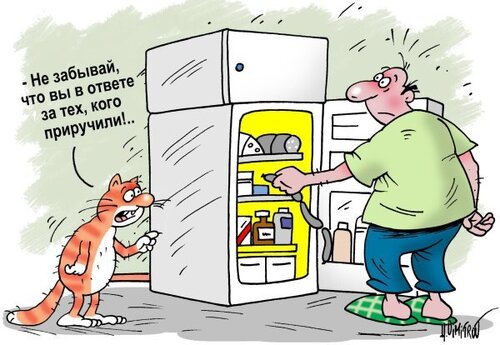Полезные факты о холодильниках