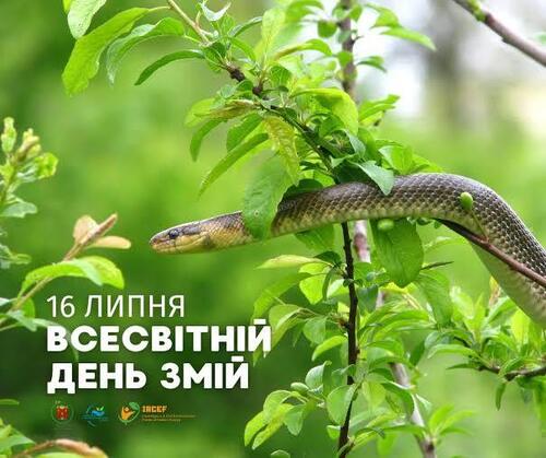 16 липня - Всесвітній день змій: Прикмети та забобони
