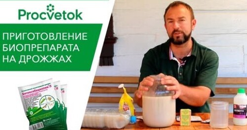 Как сэкономить на биопрепаратах? Размножить своими руками!