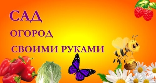 Высаживаем рассаду огурцов на летне-осеннее выращивание в теплицу!
