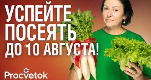 НЕ ОСТАВЛЯЙТЕ ГРЯДКИ ПУСТЫМИ! Посейте эти овощи в июле и соберете еще один урожай!