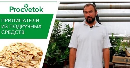 ТОП-8 народных ПРИЛИПАТЕЛЕЙ для внекорневой обработки растений. Обзор