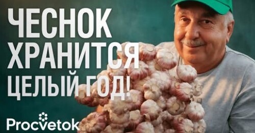 Делаю ТАК и чеснок лежит год как свежий! Секрет идеальной уборки и хранения