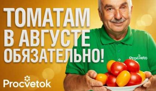 ФИНАЛЬНАЯ ПОДКОРМКА ТОМАТОВ В АВГУСТЕ для крупных и сахарных плодов: рецепт агронома