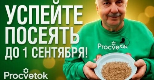 УСПЕЙТЕ ДО 1 СЕНТЯБРЯ! Что посеять на пустые грядки, чтобы избавиться от болезней и вредителей