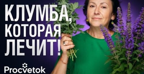 ЦВЕТНИК ИЗ ПРЯНЫХ ТРАВ. Что посадить для красоты и здоровья