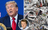 Анатомія шахрая. Афера Трампа з Patriot для України заради путіна й власного самовдоволення – Філліпс О'Брайен
