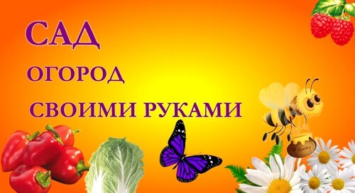 Высадка клубники осенью. Подготовка участка и высадка клубники!