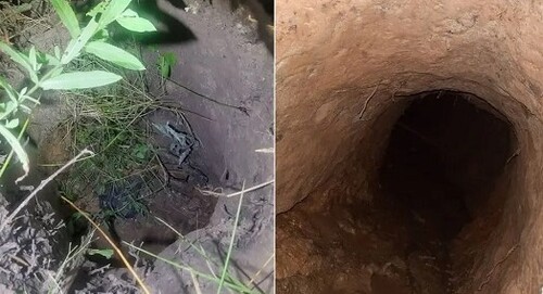 У Латвії під кордоном з Білоруссю виявлено тунель