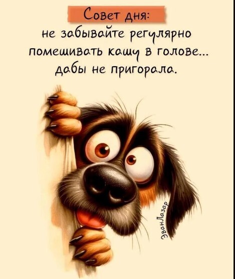 О советах добрых людей