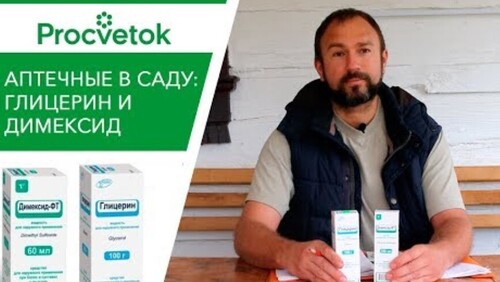 Дадим бой ВИРУСАМ РАСТЕНИЙ! На что способны Димексид и Глицерин. Усилители для обработки растений