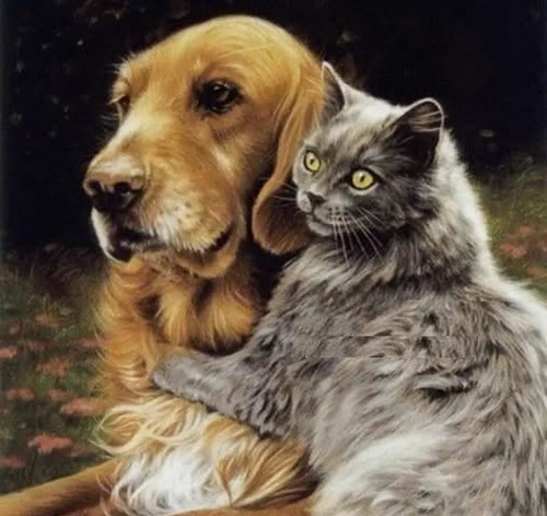 Кормилец