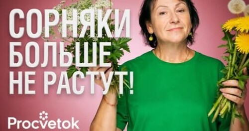 КАК Я ПОБЕДИЛА СОРНЯКИ НА СВОЕМ УЧАСТКЕ – рабочий способ от сныти, пырея, одуванчиков