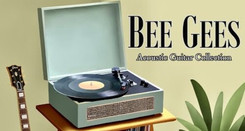 Bee Gees Greatest Hits 1h Acoustic Guitar