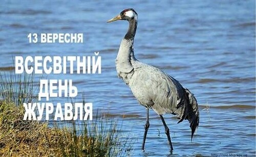 13 вересня - Всесвітній день журавля: Прикмети та забобони