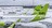 Латвийская AirBaltic красиво обанкротилась