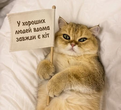 Спасительница