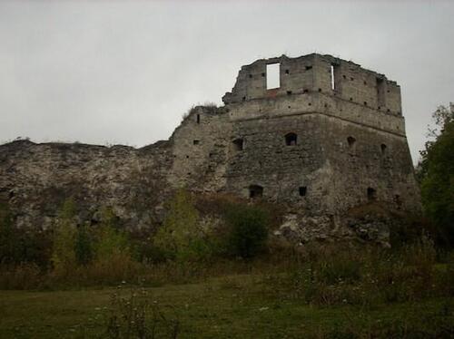 Токівський замок — оборонна споруда в селі Токи, Тернопільська область