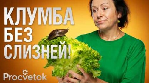ЗАБУДЕТЕ ПРО СЛИЗНЕЙ, если посадите на участке эти растения!