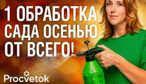ЕСЛИ САД БОЛЕЕТ, ТО ЭТА ОБРАБОТКА ОСЕНЬЮ ОБЯЗАТЕЛЬНА! Чем обработать и подкормить плодовые деревья