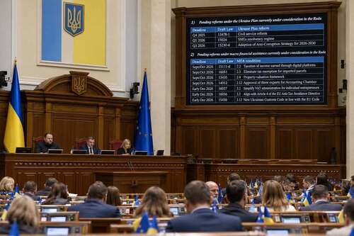 "Чи хоче від нас Євросоюз чогось надзвичайного?" - Лана Зеркаль