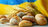 16 жовтня - Всесвітній день хліба: Прикмети та забобони