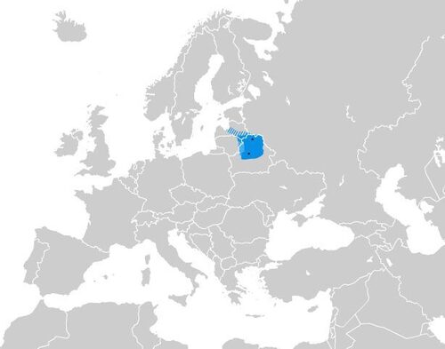 Полоцьке князівство